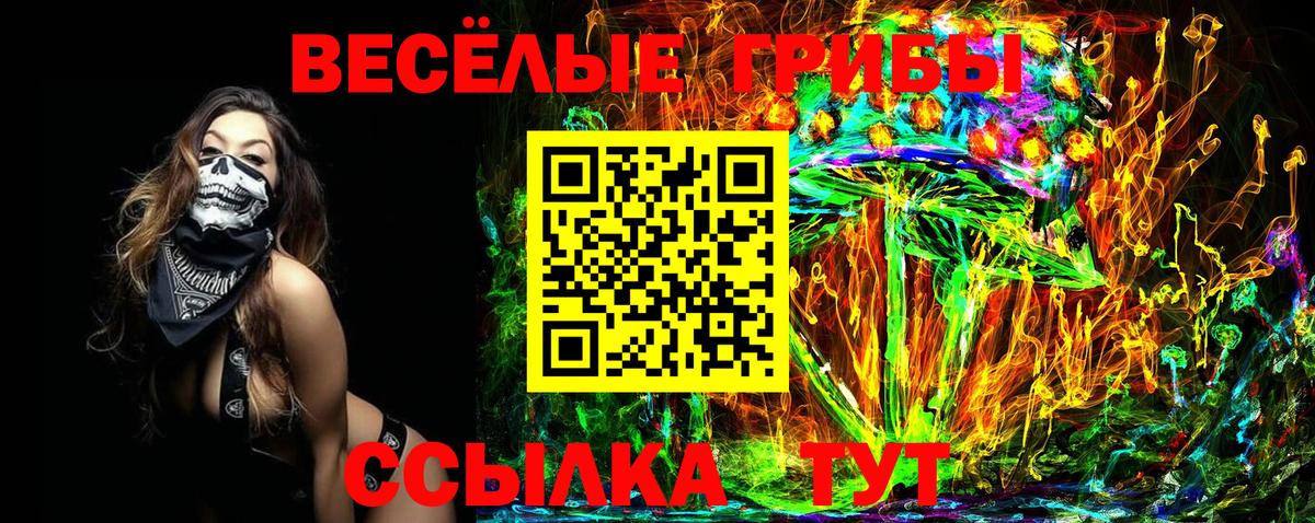 Заволжье  Псилоцибиновые грибы Psilocybine cubensis  как найти наркотики  Вход с VPN 